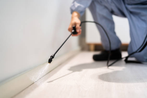 Professional exterminator conducting IPM assessment in Elmendorf